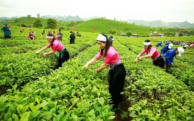 GTNFoods (GTN): Quý IV/2020 tiếp tục cải thiện biên Kl99 nổ hũ gộp lên 30,8%