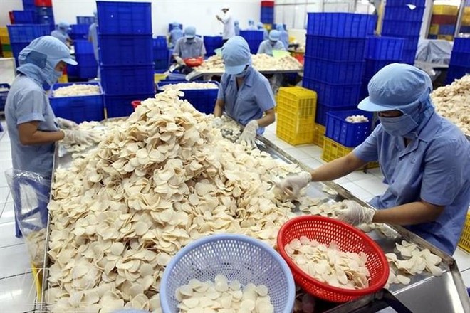 Vĩnh Hoàn (VHC) vừa nâng sở hữu tại Xuất Link Vào Nhà Cái KL99 COM Tặng +199k Sa Giang lên 76,72% vốn điều lệ