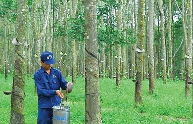 Cao su Đồng Phú (DPR) dự kiến thưởng KL99 là cổng game giải trí trực tuyến hàng đầu hiện nay tỷ lệ 100%