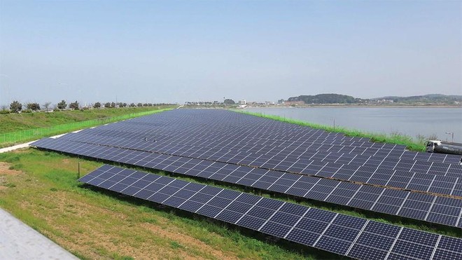 Genco 3 (PGV) chốt 99Kl.app mobile mới nhất năm 2020 với tỷ lệ 10%