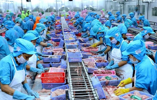 Nam Việt (ANV): Quý II/2021, Kl99 nổ hũ giảm 26,2% chủ yếu do chi phí bán hàng tăng cao