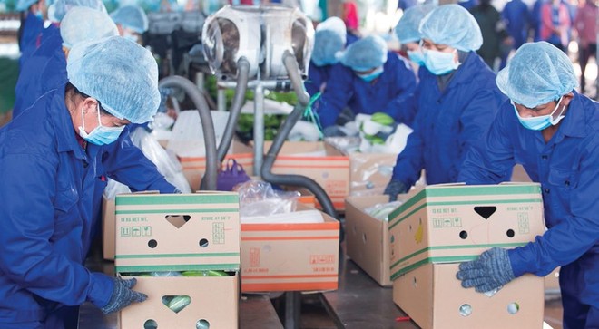 Nông nghiệp Quốc tế Hoàng Anh Gia Lai (HNG) gia hạn thời gian nộp Báo cáo Kl991.com nạp rút nhanh quý IV/2022 chậm nhất đến ngày 10/2/2023