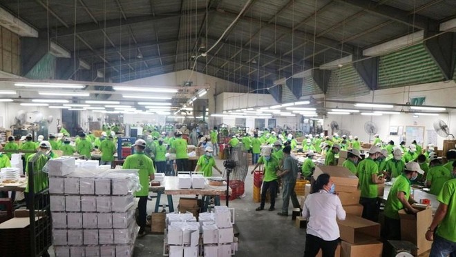 Gỗ Đức Thành (GDT) tạm ứng 99Kl.app mobile mới nhất năm 2023 với tỷ lệ 10%