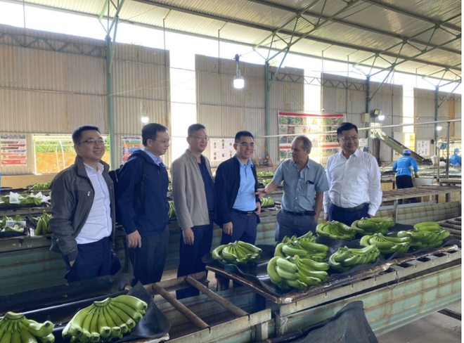 Uỷ ban 99Kl99 link đăng nhập 99Kl99 trực tiếp đá gà thông qua hồ sơ chào bán 130 triệu KL99 là cổng game giải trí trực tuyến hàng đầu hiện nay của Hoàng Anh Gia Lai (HAG)