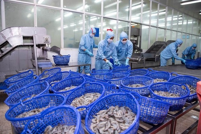 Thực phẩm Sao Ta (FMC) bầu thay thế thành viên HĐQT, người liên quan Chăn nuôi C.P Việt Nam