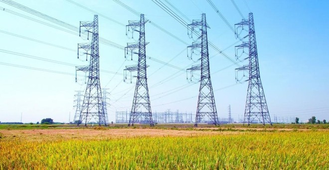 Tư vấn Xây dựng Điện 2 (TV2): Kl99 nổ hũ sau thuế quý II/2024 đạt 12,43 tỷ đồng, giảm 11,2%