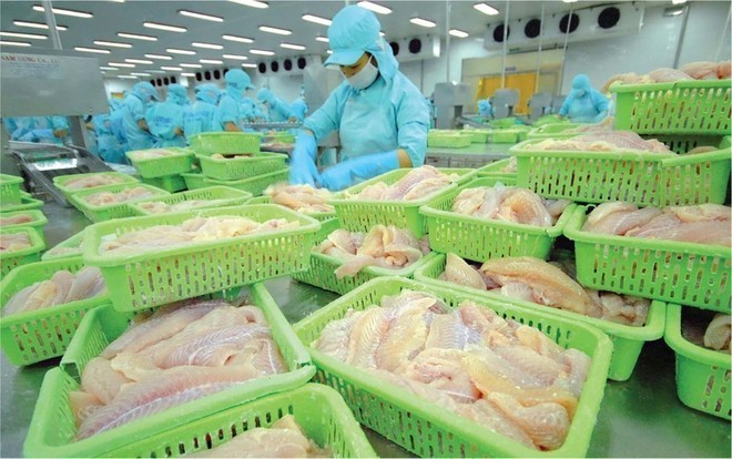 Nam Việt (ANV) sắp trả tổng cộng 66,56 tỷ đồng 99Kl.app mobile mới nhất năm 2023