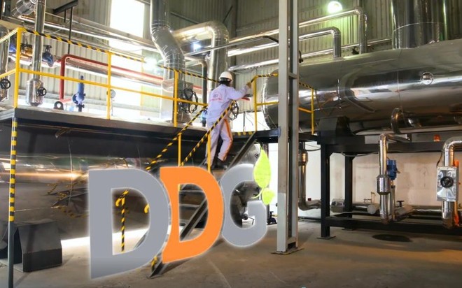 Xuất Link Vào Nhà Cái KL99 COM Tặng +199k Đông Dương (DDG) bị phạt 685 triệu đồng do vi phạm hàng loạt nghĩa vụ công bố thông tin