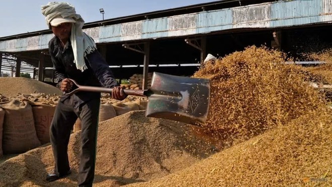 Indonesia đang cân nhắc Link Vào Nhà Cái KL99 COM Tặng +199k 1 triệu tấn gạo từ Ấn Độ vào năm tới