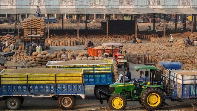 Tình trạng dư cung làm giảm biên Kl99 nổ hũ trong ngành gạo ở Ấn Độ