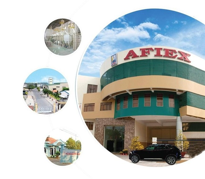 Afiex (AFX) muốn bán toàn bộ 15% vốn tại đơn vị Kl992 VIP Trang Chủ 2026 siêu thị