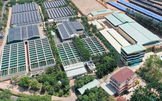 BIWASE (BWE) nâng cấp 8 chi nhánh lên 4 công ty con