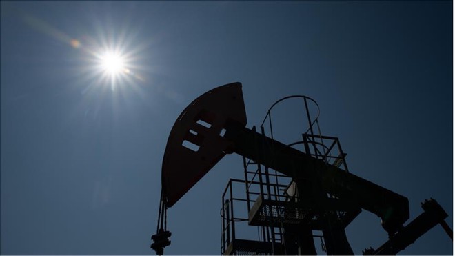 OPEC hạ dự báo tăng trưởng nhu cầu dầu toàn cầu trong năm nay