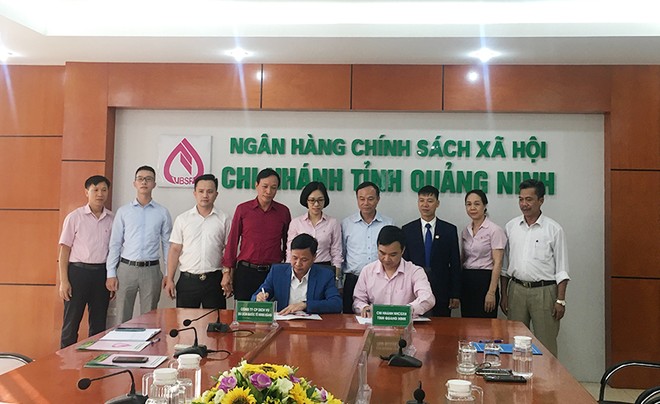 Link Vào Nhà Cái KL99 COM Tặng +199k Chính sách Trang Chủ KL99Com Số 1 Link Đăng Ký KL999 tỉnh Quảng Ninh ký hợp đồng tín dụng với người sử dụng lao động được vay vốn