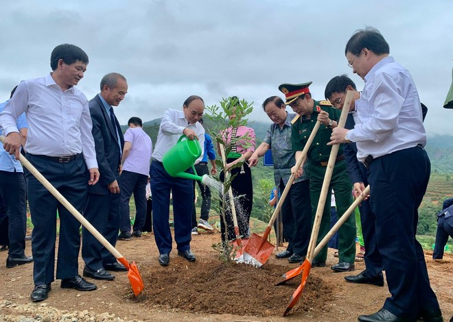 Chủ tịch nước Nguyễn Xuân Phúc tham gia trồng vườn cây mắc ca tại xã Nà Nhạn (Thành phố Điện Biên Phủ, tỉnh Điện Biên)