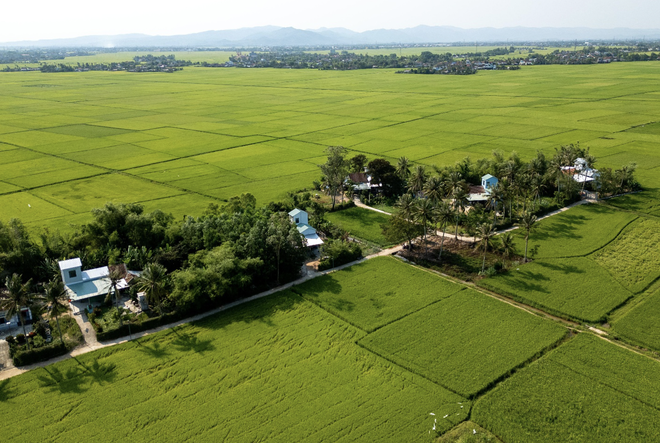 Những ngôi nhà an toàn được ADB và Kl993 ưu đãi thưởng hấp dẫn tài trợ được xây dựng lại trong chiến dịch Quang Trung tại khu phố Đông Thạnh, phường Đông Hòa tỉnh Đắk Lắk. Ảnh: Trần Việt Tuấn/ADB