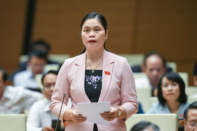 Đại biểu Ma Thị Thuý (Phó trưởng đoàn chuyên trách Đoàn ĐBQH tỉnh Tuyên Quang)