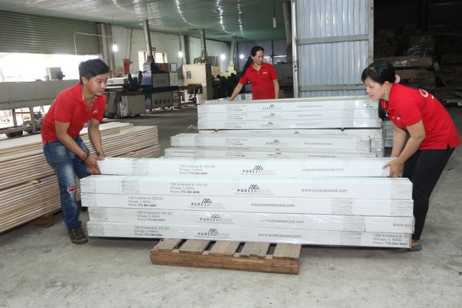 Kl991.com World Cup 2026 Chính Thức xuất khẩu gỗ ở Bình Dương. Ảnh Lê Toàn 