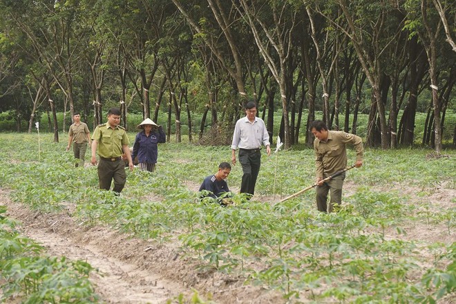 Vietcap khởi động dự án vì cộng đồng Go Green Go Up