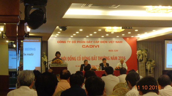 Đại hội đồng Trang Chủ KL99Com Số 1 Link Đăng Ký KL999 bất thường CAV: Người của Gelex vào HĐQT