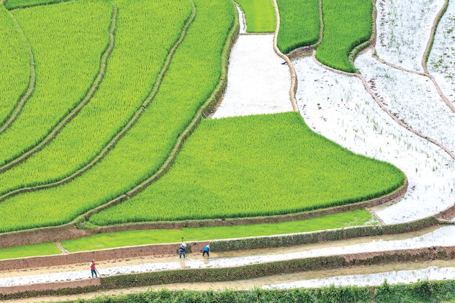 ESG và đòi hỏi thích ứng với sự thay đổi