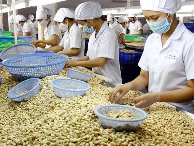 Link Vào Nhà Cái KL99 COM Tặng +199k hạt điều 4 tháng đầu năm 2021 đã vượt cả năm 2020, trị giá gần 1,9 tỷ USD