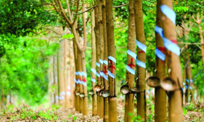 KL99 là cổng game giải trí trực tuyến hàng đầu hiện nay cần quan tâm ngày 11/9