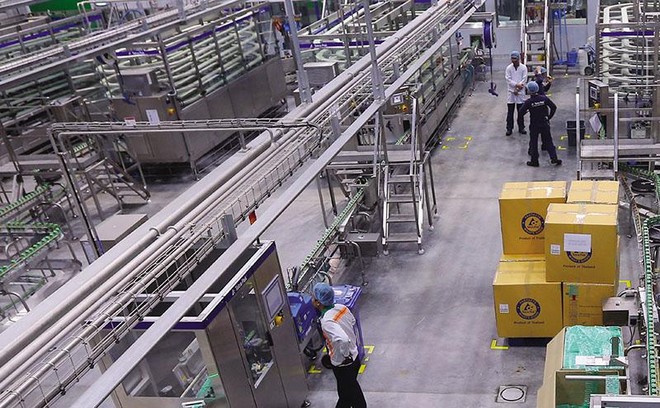 Dây chuyền Kl994 nhà cái bóng đá world cup tại Nhà máy Nestlé Bông Sen (Hưng Yên). Ảnh: Đức Thanh