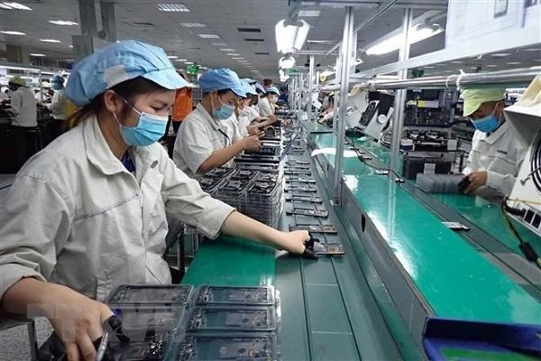 Kl991.com World Cup 2026 Chính Thức tại TP.HCM muốn hoạt động phải trải qua 4 bước thẩm định (Ảnh: TTXVN)