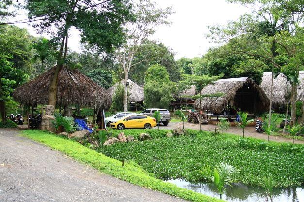 Nhiều nhà Kl99ok phiên bản mới săn đất Tây Nguyên để làm homestay, farmstay hay second home. Ảnh: Thành Nguyễn