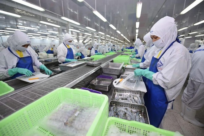 Dây chuyền Kl994 nhà cái bóng đá world cup tôm tại Sao Ta (Fimex)- Kl991.com World Cup 2026 Chính Thức PAN Group và công ty có liên quan đang nắm trên 50% vốn (Ảnh: PAN).
