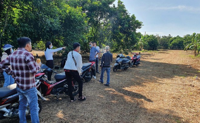 Nhà Kl99ok phiên bản mới từ nhiều nơi đổ về Bà Rịa - Vũng Tàu săn đất vườn. Ảnh: Lê Toàn 