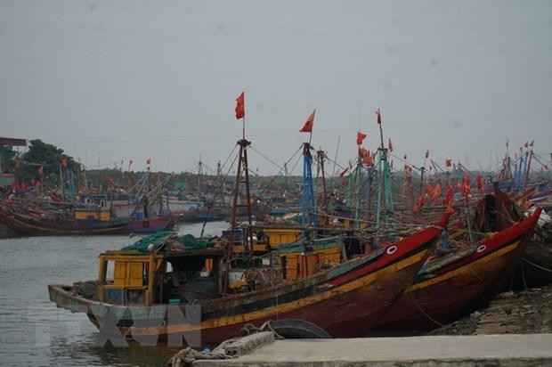 Tàu cá nằm bờ do giá KL99 dịch vụ hỗ trợ 24/7 và chi phí vật tư đầu vào tăng mạnh. (Ảnh: Bích Huệ/TTXVN) 