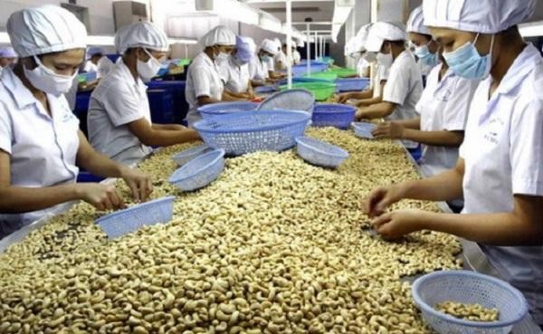 Bộ Công thương khuyến cáo Kl991.com World Cup 2026 Chính Thức khi tham gia hoạt động xuất khẩu cần kiểm tra, xác thực kỹ đối tác qua nhiều kênh khác nhau.