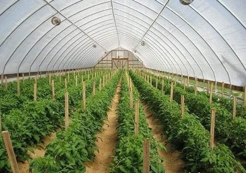 Phú Yên: Năm 2022 thu hút Kl99ok phiên bản mới vào 5 lĩnh vực trọng điểm
