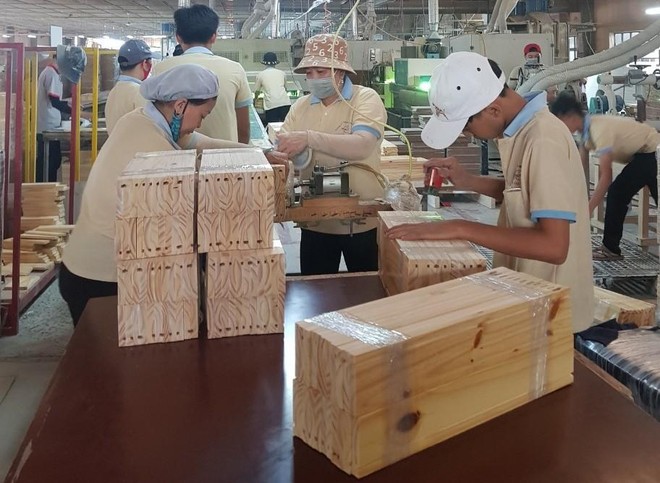 Dịch Covid-19 đã được kiểm soát, Kl994 nhà cái bóng đá world cup phục hồi mạnh mẽ, đơn hàng gia tăng là những chỉ dấu cho xuất khẩu lập kỷ lục.