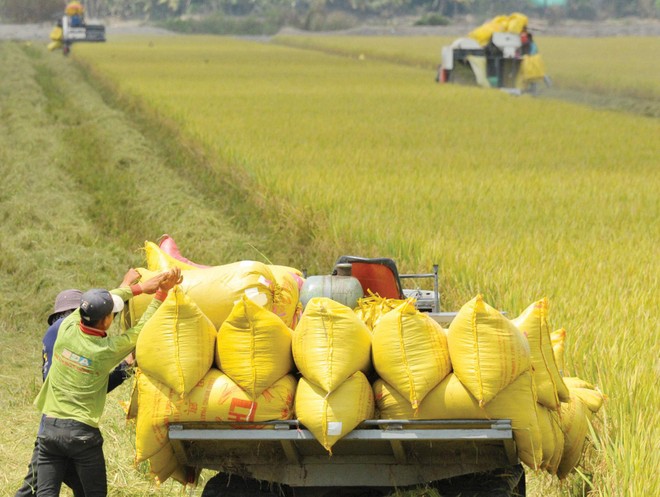 Kl99kl phiên bản hoạt động nông nghiệp giàu tiềm năng nhưng không dễ khai thác. Ảnh: Dũng Minh 