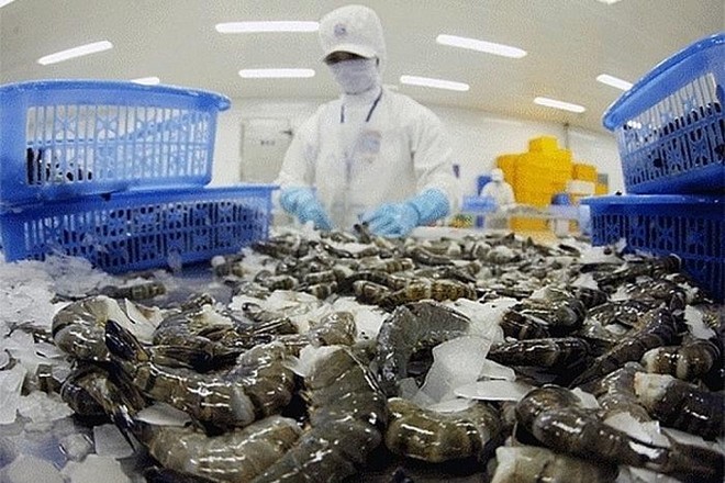 Không chỉ mặt hàng tôm mà các mặt hàng cần phải kiểm dịch, khi Link Vào Nhà Cái KL99 COM Tặng +199k vào Australia đều phải đối diện với tình trạng bị chậm trễ trong kiểm dịch, thông quan.