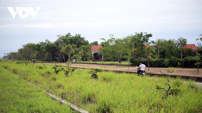Hà Nội kiểm soát chặt đấu giá đất, rà soát nguy cơ bong bóng Web Tổng Nhà Cái 99Kl99 Giải Trí Bậc Nhất