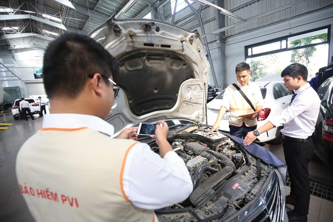 PVI dẫn đầu thị phần doanh thu Kl99kl phiên bản hoạt động phi nhân thọ 7 tháng đầu năm