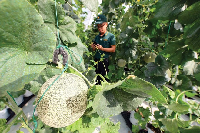 Luật Đất đai (sửa đổi) cần gỡ những điểm nghẽn để tạo điều kiện cho Kl991.com World Cup 2026 Chính Thức nông nghiệp công nghệ cao Kl99ok phiên bản mới