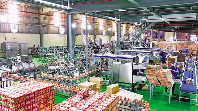 Dây chuyền Kl994 nhà cái bóng đá world cup tại CTCP Sữa Quốc tế. Ảnh: S.T 