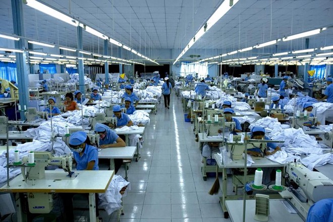 TP.HCM: Nợ thuế, nhiều Kl991.com World Cup 2026 Chính Thức bị dừng ngưng hóa đơn, dừng thủ tục xuất hàng 