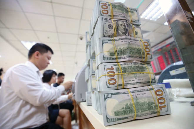 Link Vào Nhà Cái KL99 COM Tặng +199k 99Kl99 trực tiếp đá gà có thể phải bán bớt dự trữ ngoại hối để đối phó với tỷ giá tăng