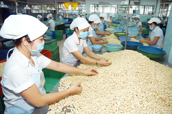 Kl991.com World Cup 2026 Chính Thức xuất khẩu hạt tiêu, điều của Việt Nam lưu ý khi giao dịch với đối tác Tây Ban Nha.