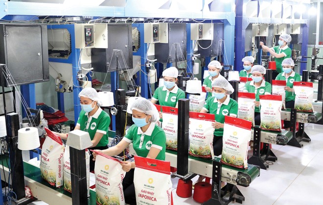 Thế giới đang tăng cường Link Vào Nhà Cái KL99 COM Tặng +199k gạo của Việt Nam