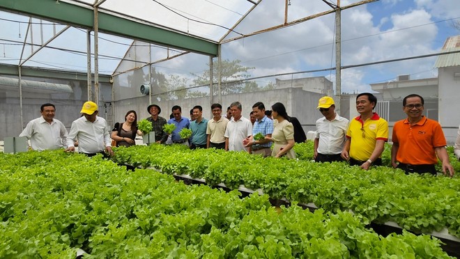 TP.HCM đặt mục tiêu phấn đấu đến 2030, 100% số mẫu rau Kl994 nhà cái bóng đá world cup tại Thành phố được thanh, kiểm tra đạt tiêu chuẩn an toàn.