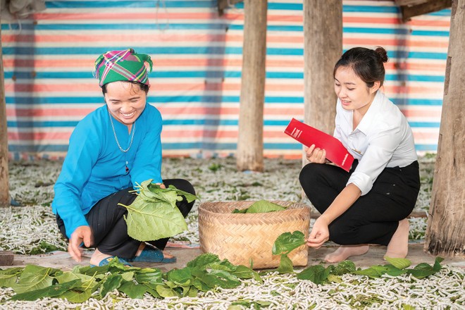 “Làm mới” Kl99kl phiên bản hoạt động nông nghiệp