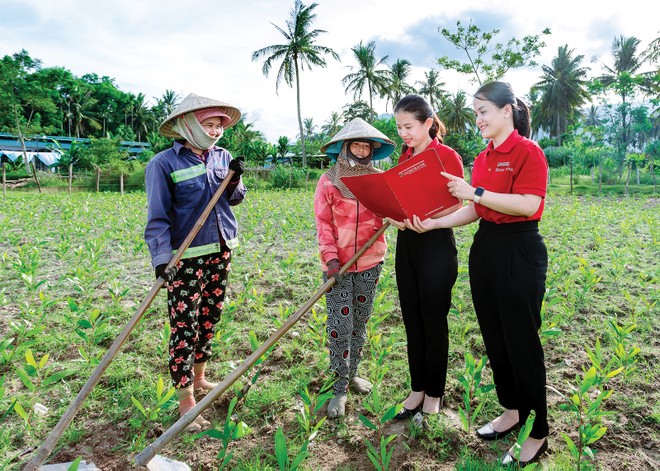 Các sản phẩm Kl99kl phiên bản hoạt động bảo vệ người nông dân như Kl99kl phiên bản hoạt động chỉ số thời tiết đã xuất hiện tại Việt Nam