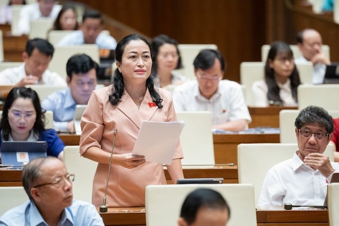 Đại biểu Trần Thị Hoa Ry (Bạc Liêu) phát biểu tại phiên thảo luận. (Ảnh:Quochoi.vn)